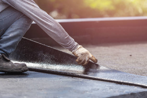 Professional Basement Waterproofing technician working in Newcomb, TN